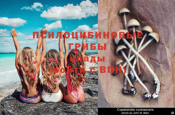 марки nbome Алзамай