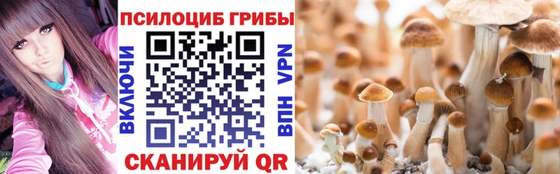 Псилоцибиновые грибы Magic Shrooms  даркнет сайт  Асино 