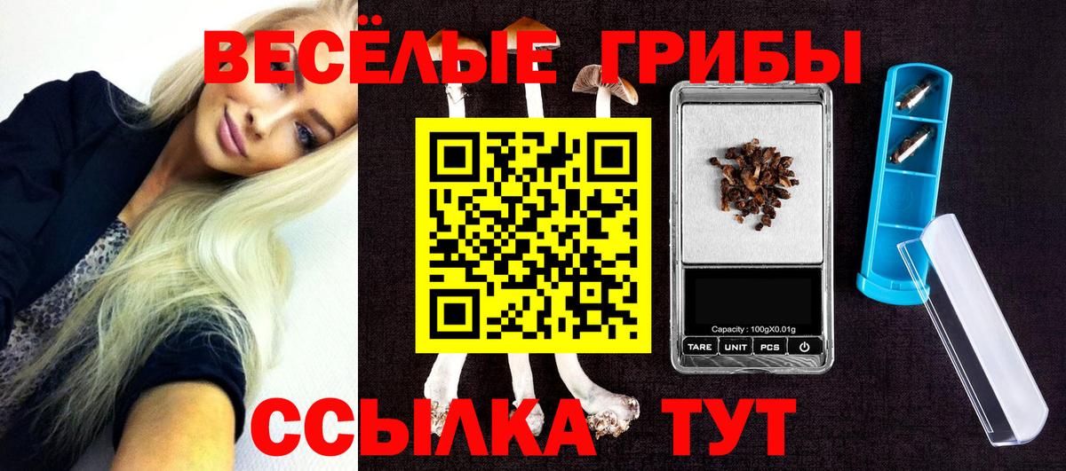 Псилоцибиновые грибы Magic Shrooms  Галлюциногенные грибы Psilocybe  Вход с VPN  Асино 